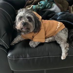 Meet your Posher, Niyah